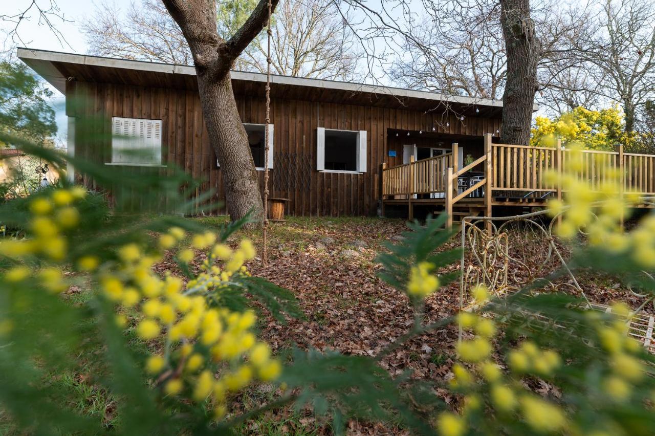 La Petite Maison Du Lac Biscarrosse Exteriör bild